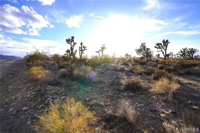 10 N Mesquite Dr, Dolan Springs, AZ 86441