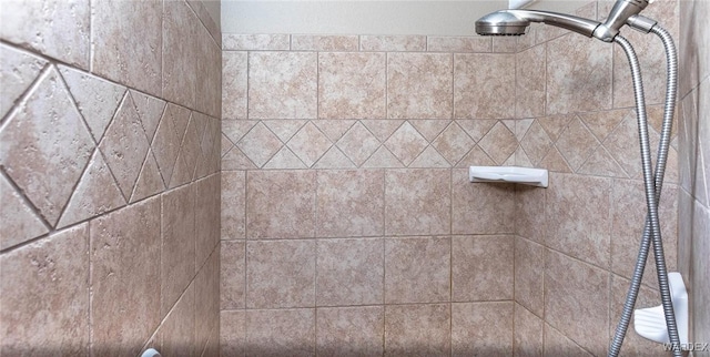 interior details with tiled shower