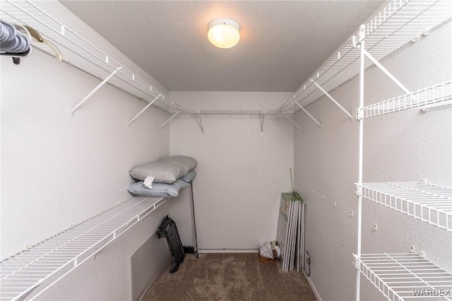 walk in closet featuring carpet floors