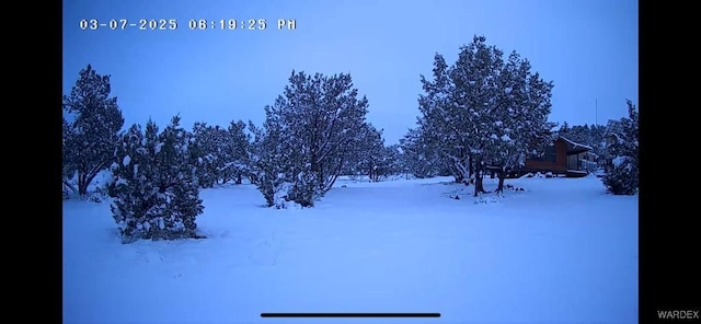 view of snowy yard