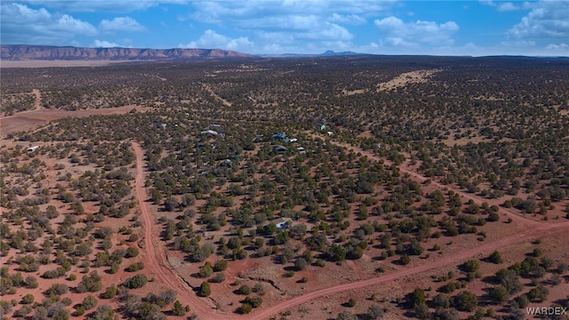 birds eye view of property featuring a mountain view