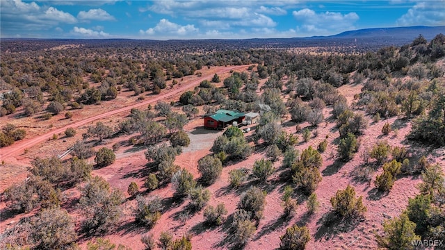 drone / aerial view with a forest view and a mountain view