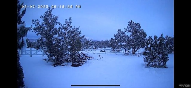 view of yard layered in snow