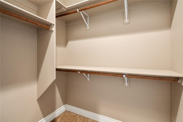 1999 Alan Ladd Dr, Kingman, AZ 86409 - walk in closet with carpet