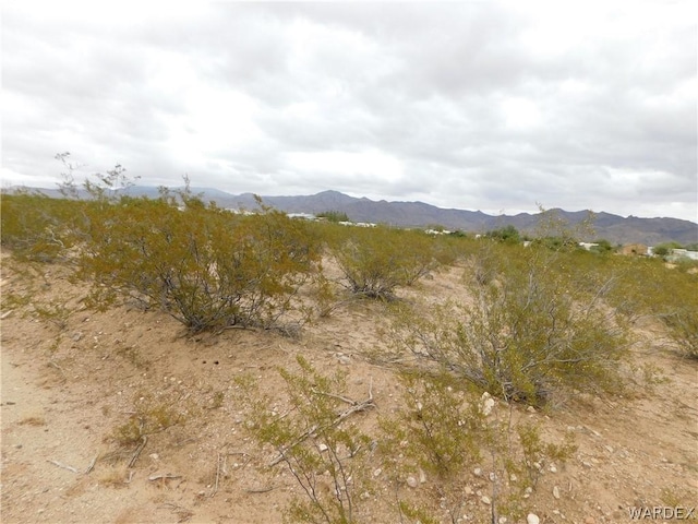 Listing photo 3 for LOT11 N Amado Rd, Golden Valley AZ 86413