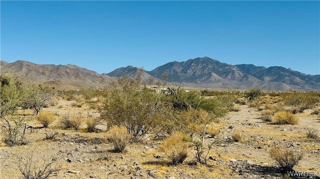 0 N Edgemont Rd, Dolan Springs AZ, 86441 land for sale