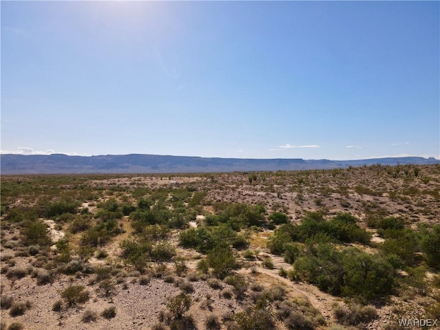 Listing photo 3 for 0000 S Aripine Rd, Yucca AZ 86438