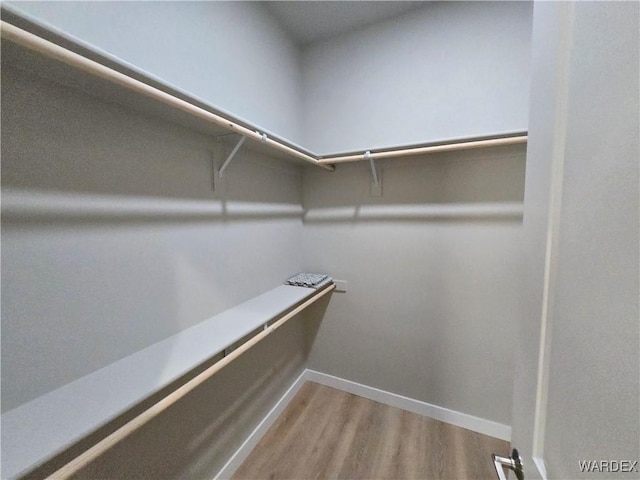 walk in closet with wood finished floors