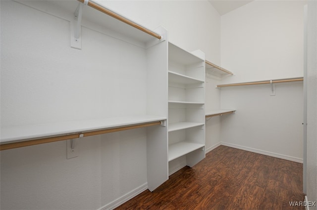 walk in closet featuring wood finished floors