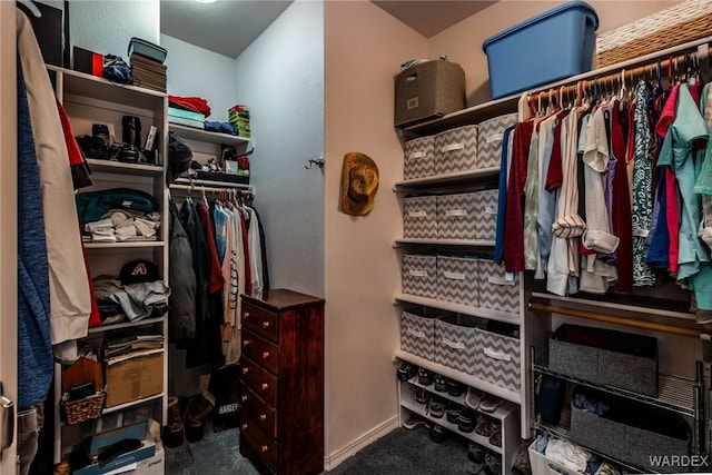 walk in closet with carpet