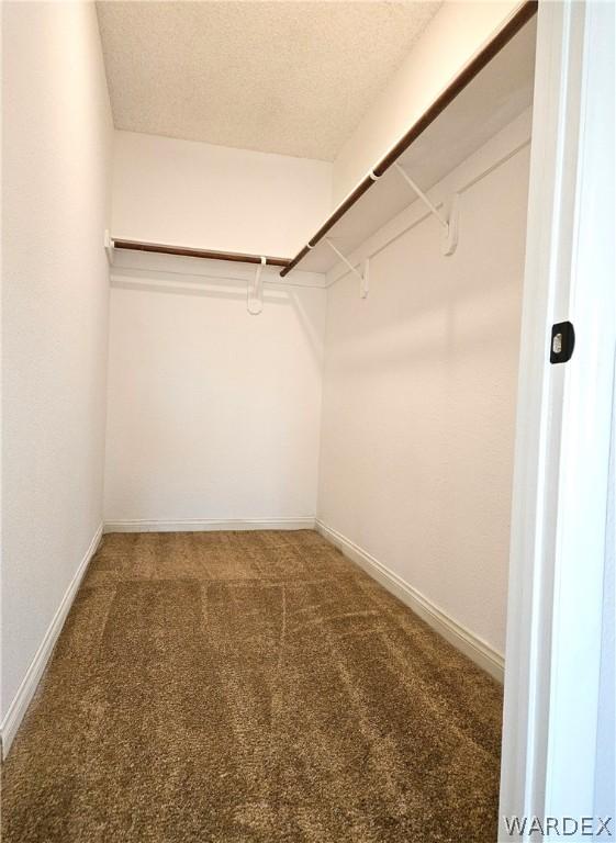 walk in closet featuring carpet