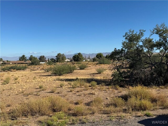 7771 E Devils Arch Dr, Kingman AZ, 86401 land for sale