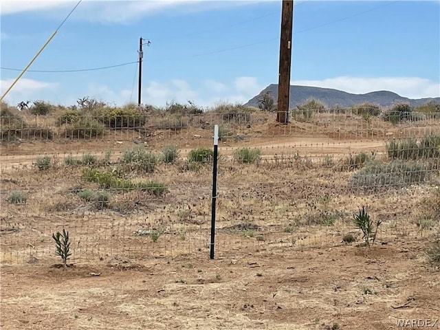 view of yard featuring a rural view and a mountain view