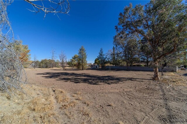 view of yard featuring a rural view