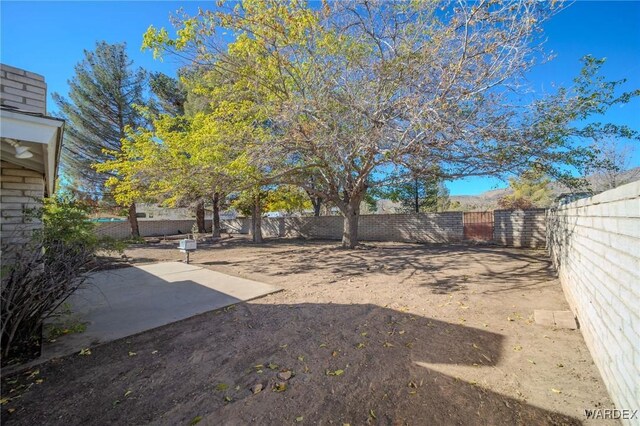 view of yard with a patio and a fenced backyard