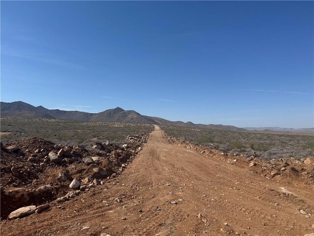 20 Magnolia Dr, Dolan Springs, AZ 86441 - photo 15