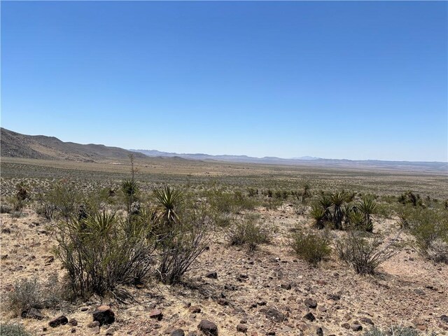 20 Magnolia Dr, Dolan Springs, AZ 86441 - photo 2