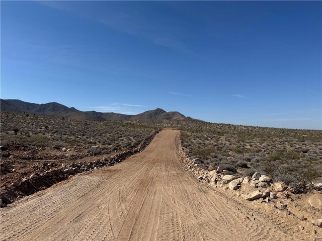 20 Magnolia Dr, Dolan Springs, AZ 86441 - photo 11