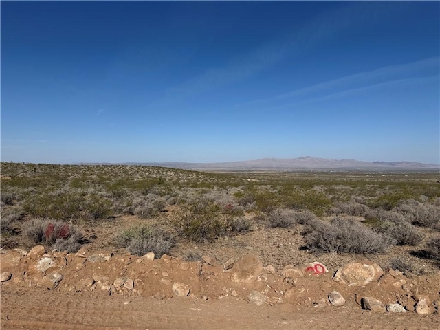 20 Magnolia Dr, Dolan Springs, AZ 86441 - photo 6