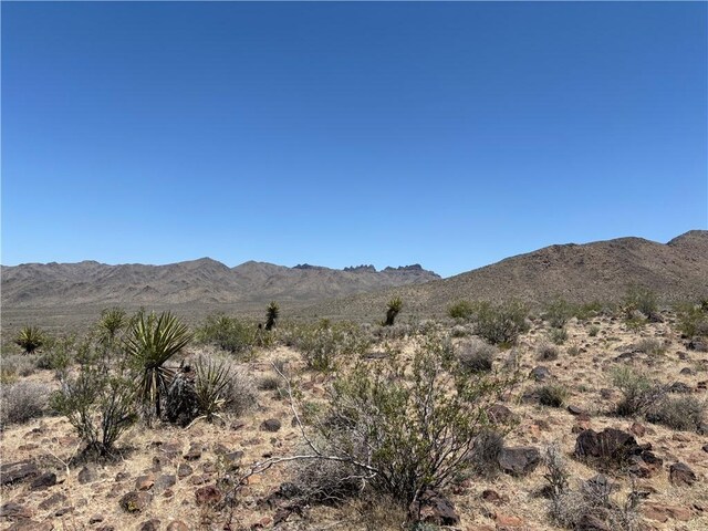 20 Magnolia Dr, Dolan Springs, AZ 86441 - photo 16