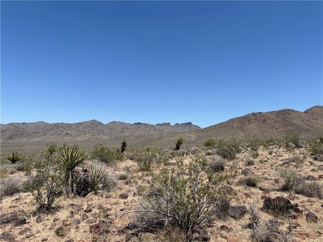 20 Magnolia Dr, Dolan Springs, AZ 86441 - photo 5