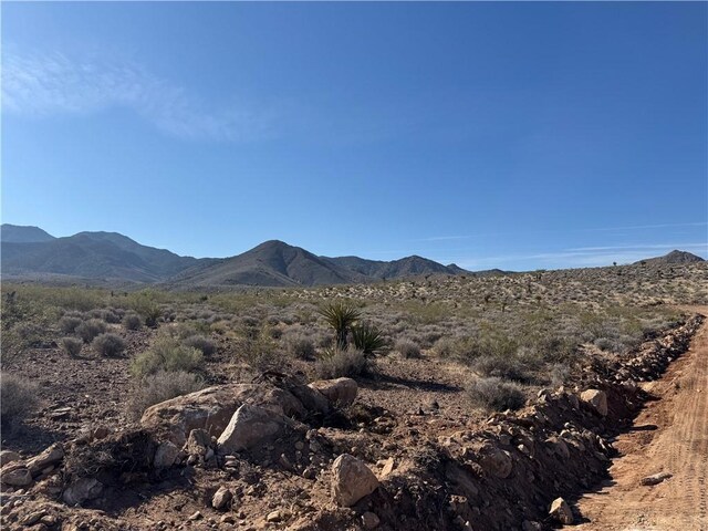 20 Magnolia Dr, Dolan Springs, AZ 86441 - photo 8