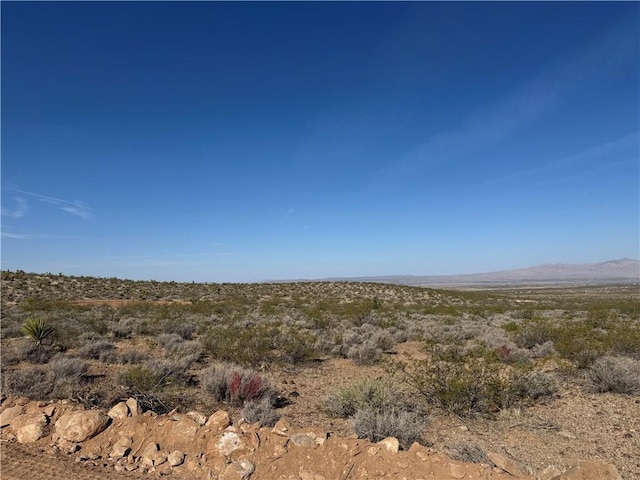 20 Magnolia Dr, Dolan Springs, AZ 86441 - photo 9