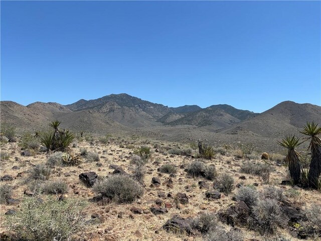 20 Magnolia Dr, Dolan Springs, AZ 86441 - photo 17