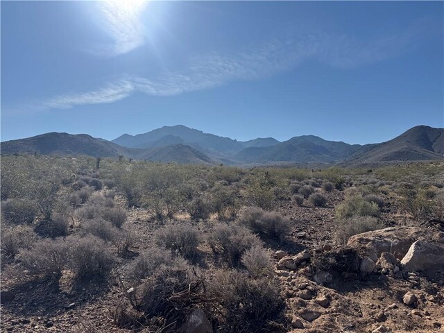 20 Magnolia Dr, Dolan Springs, AZ 86441 - photo 3