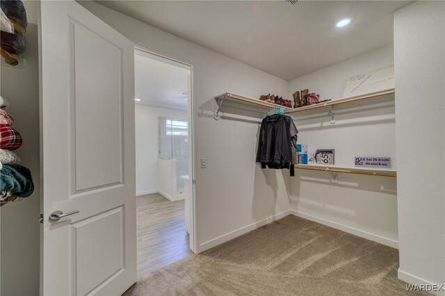 walk in closet featuring light colored carpet