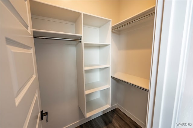 spacious closet with dark wood finished floors