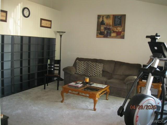 living area featuring carpet flooring