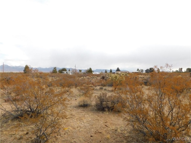 Listing photo 2 for LOT14 N Horse Mesa Rd, Golden Valley AZ 86413