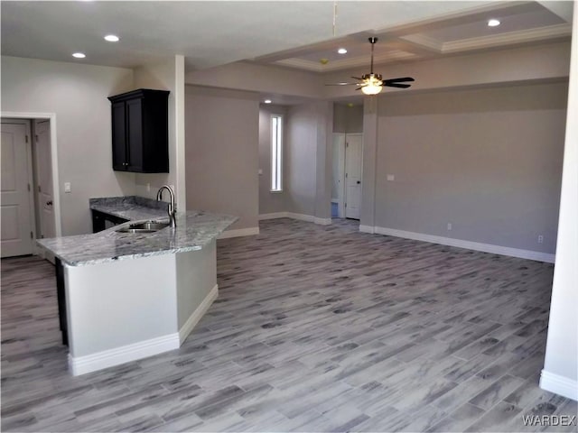 kitchen featuring dark cabinets, a sink, a ceiling fan, open floor plan, and light stone countertops