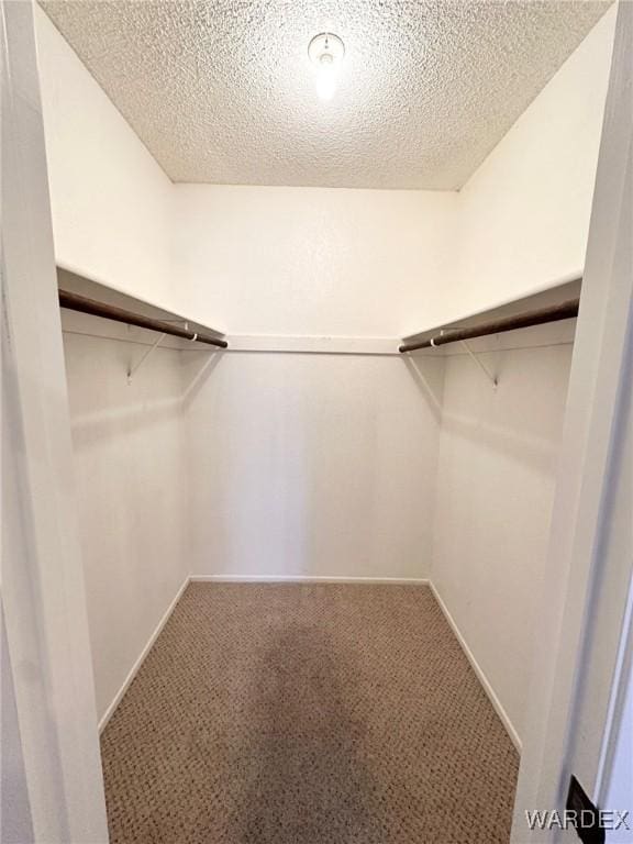 spacious closet with carpet flooring