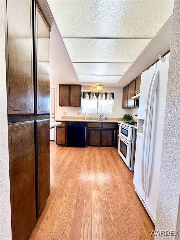 kitchen with white appliances, under cabinet range hood, light wood finished floors, and light countertops