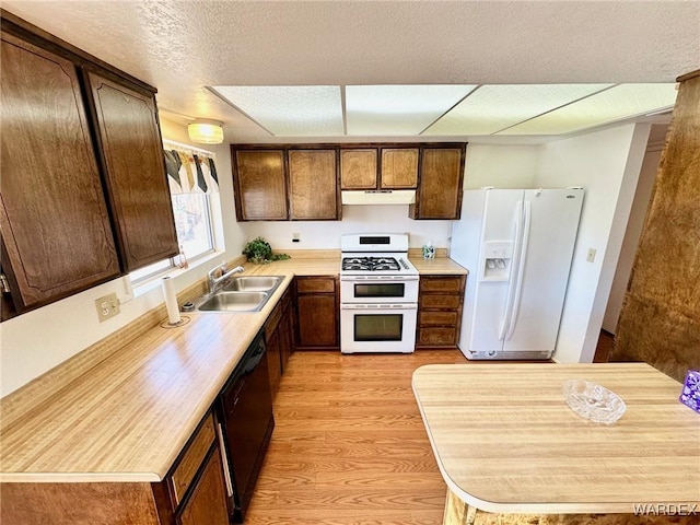 kitchen featuring white appliances, light wood finished floors, light countertops, under cabinet range hood, and a sink