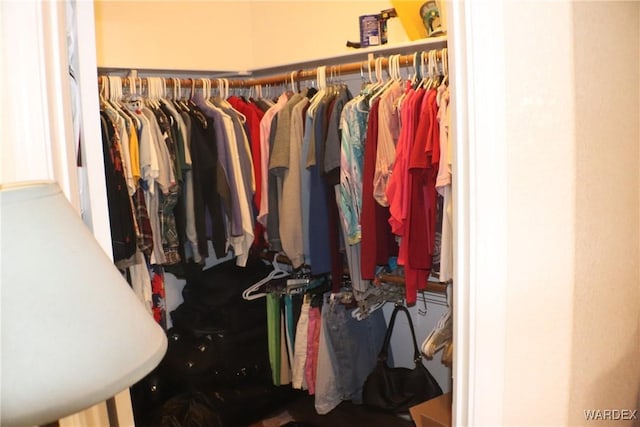 view of spacious closet