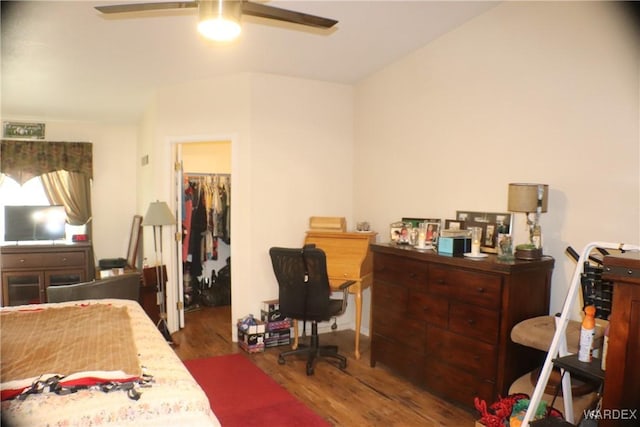 bedroom featuring a spacious closet, a closet, wood finished floors, and a ceiling fan