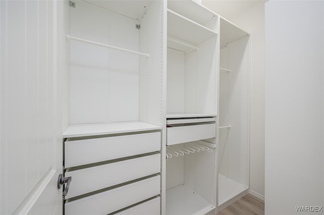 walk in closet with light wood-style flooring