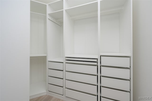 walk in closet with light wood-style flooring