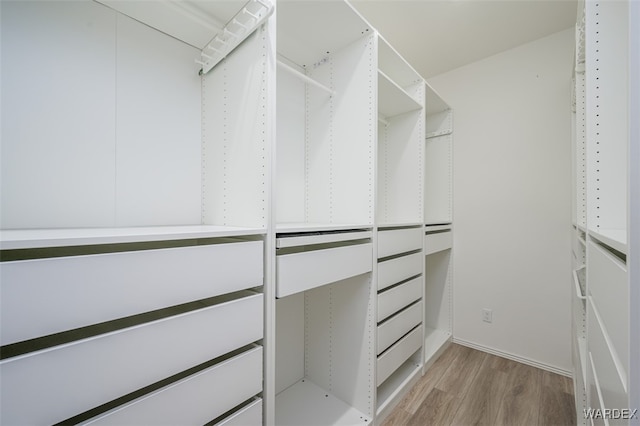 walk in closet with light wood finished floors