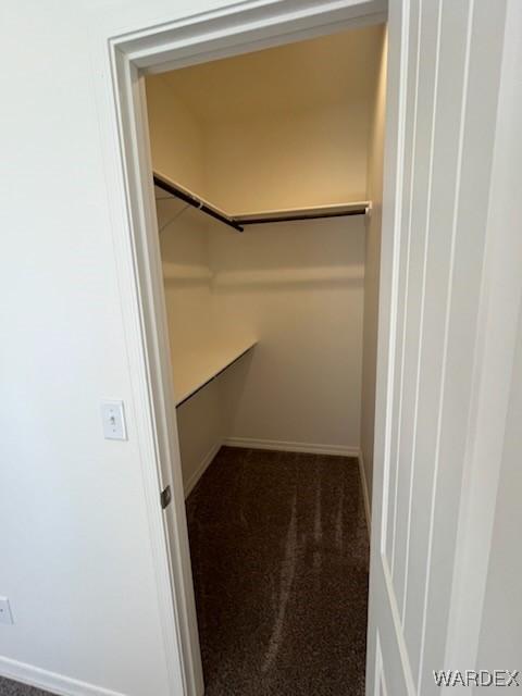 walk in closet with carpet floors