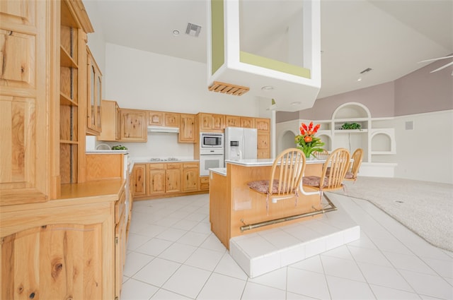 2020 E Los Lagos Dr, Fort Mohave, AZ 86426 - photo 20