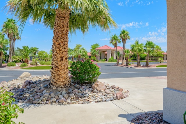 2020 E Los Lagos Dr, Fort Mohave, AZ 86426 - photo 10