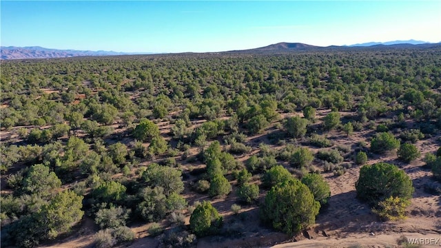 204-15-078 E Old Highway 93, Kingman AZ, 86401 land for sale