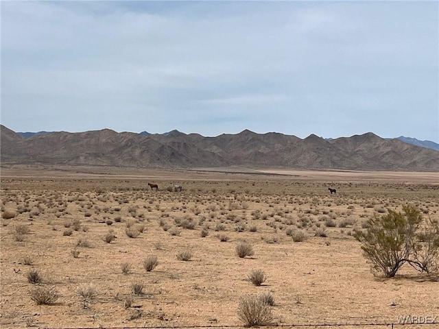 9597 N Tall Tree Dr, Kingman, AZ 86401 - photo 30