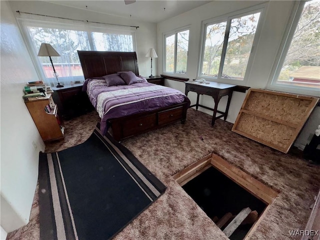 bedroom featuring carpet