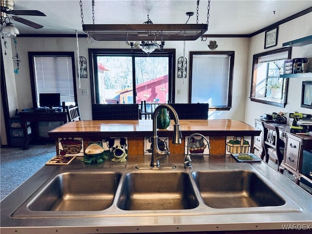 kitchen featuring ornamental molding, carpet, a healthy amount of sunlight, and a sink