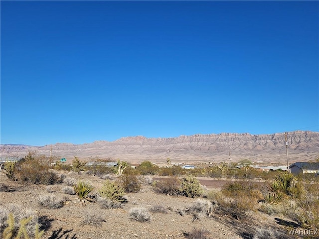 30713 N Sandy Point Dr, Meadview, AZ 86444 - photo 4